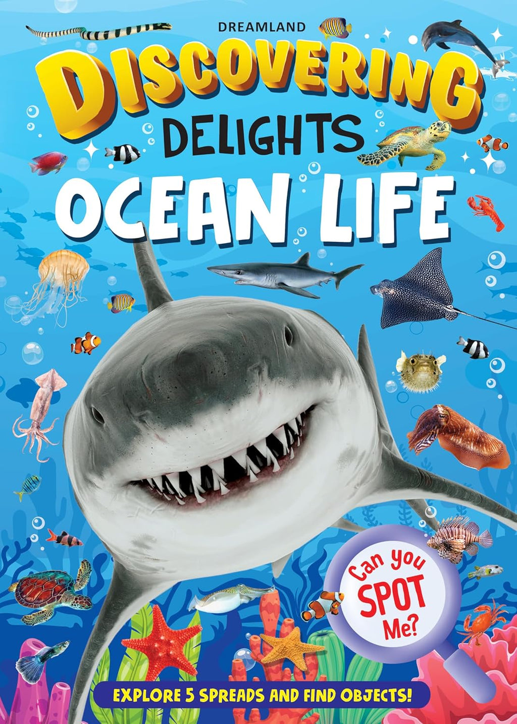 Dreamland Publications Discovering Delights Activity Book Pack for Kids Age 4 -10 years - A Set of 4 Books