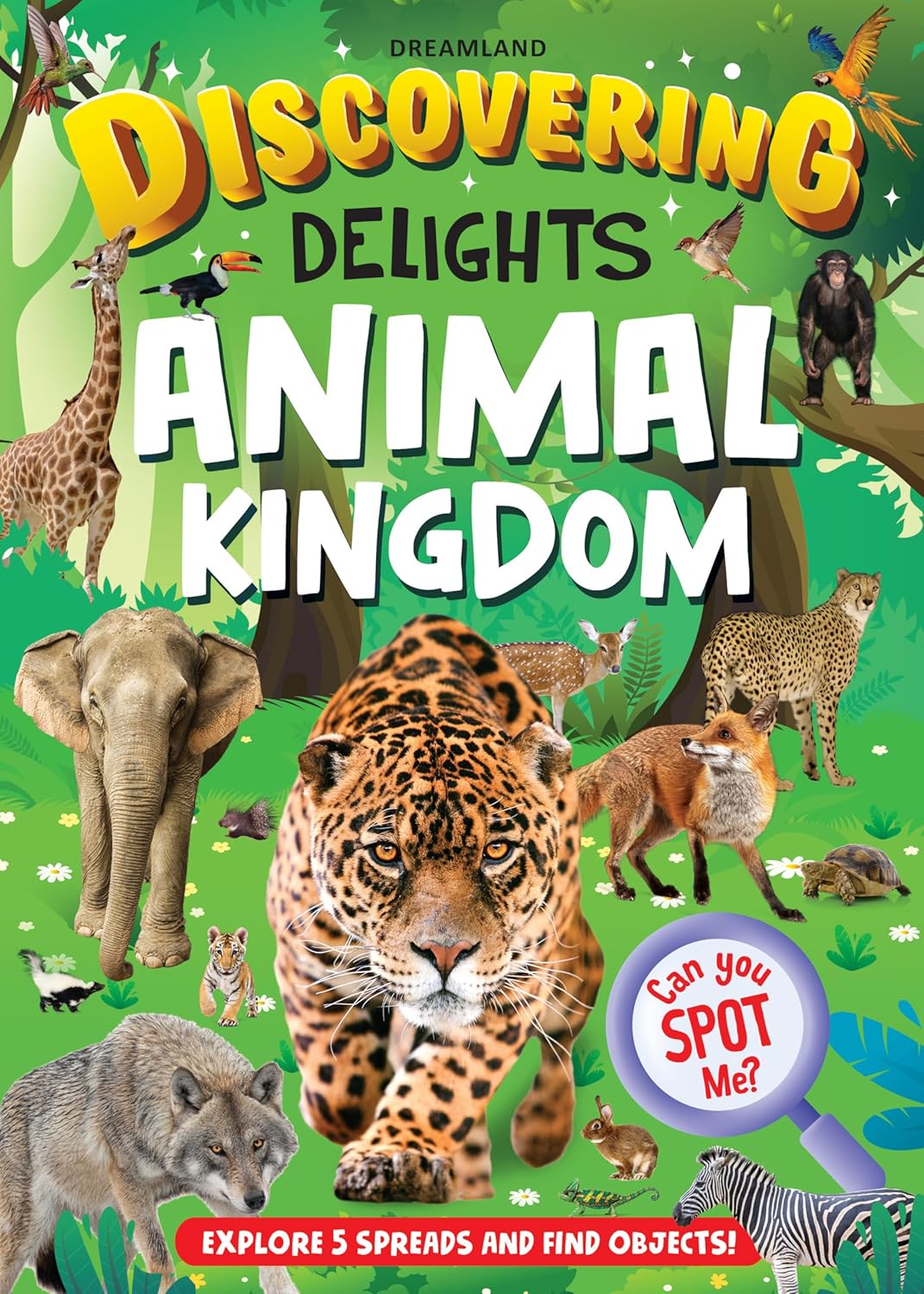 Dreamland Publications Discovering Delights Activity Book Pack for Kids Age 4 -10 years - A Set of 4 Books