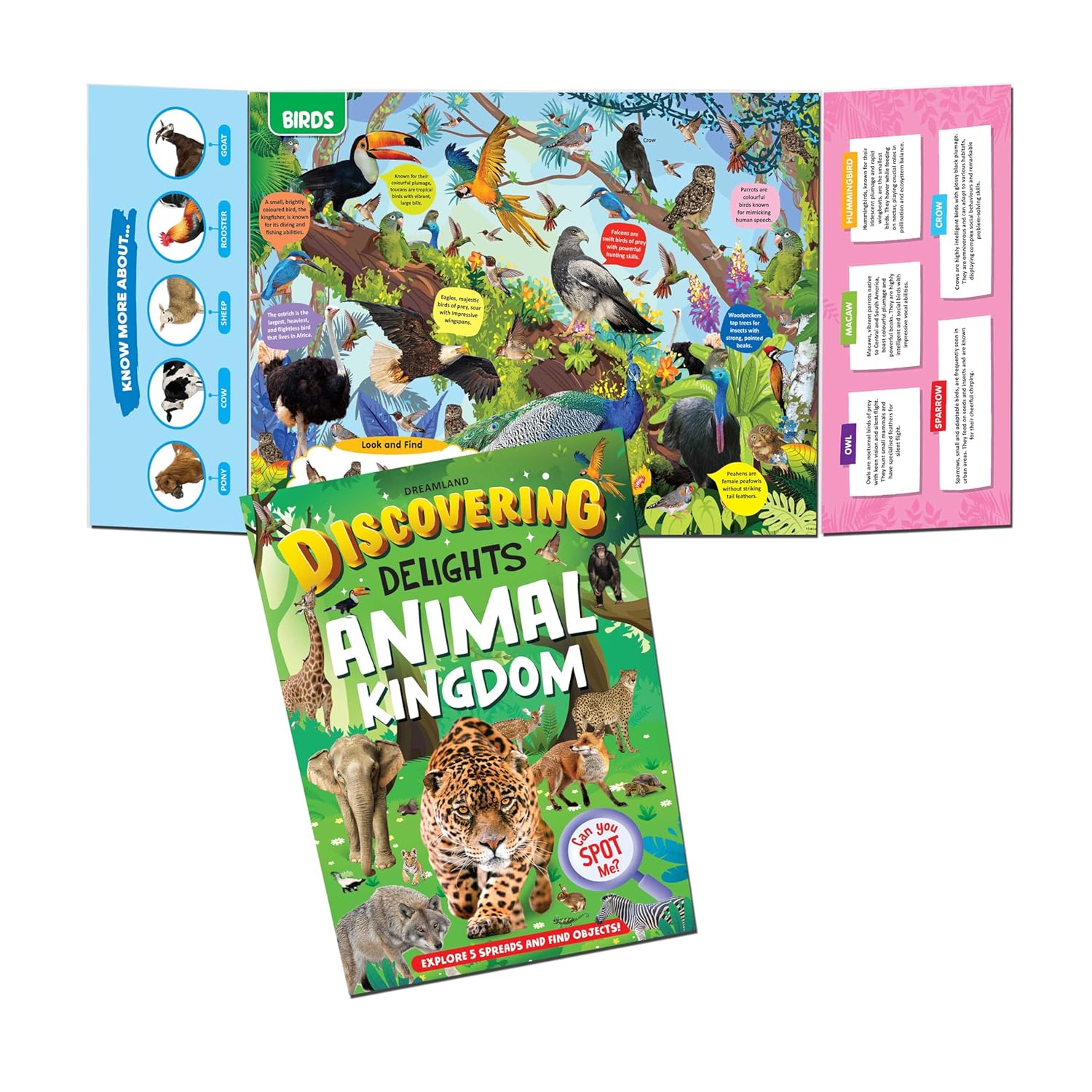 Dreamland Publications Discovering Delights Activity Book Pack for Kids Age 4 -10 years - A Set of 4 Books