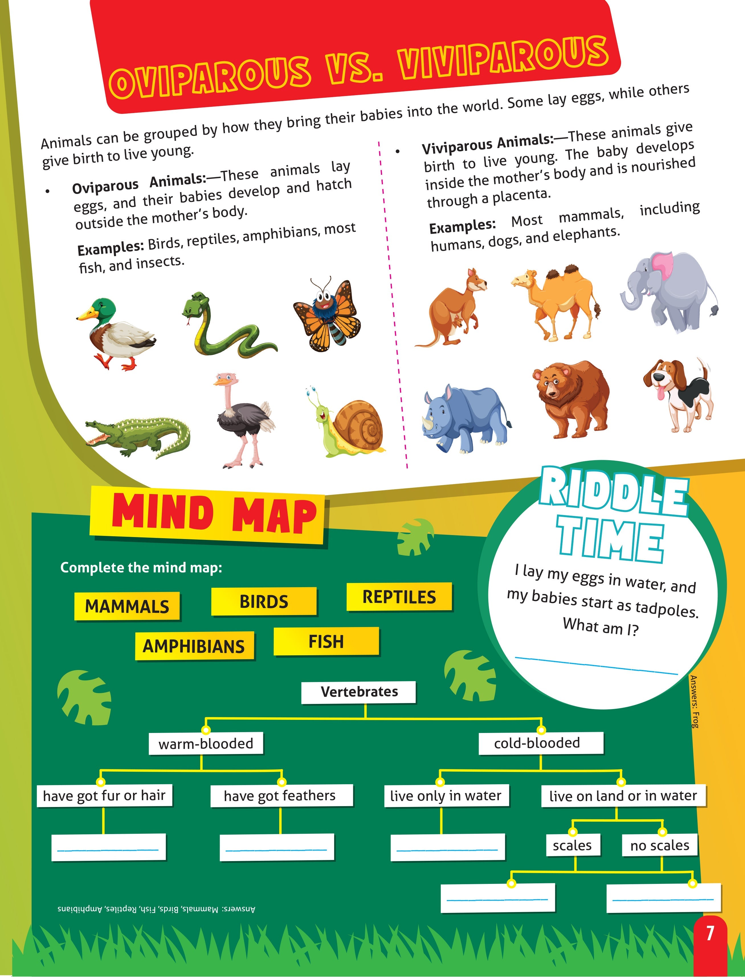Dreamland Publications Junior Genius: Amazing Animals – A Fun-Filled Learning Book for Kids Age 7+ | Discover Incredible Creatures with Facts, Activities, and Puzzles