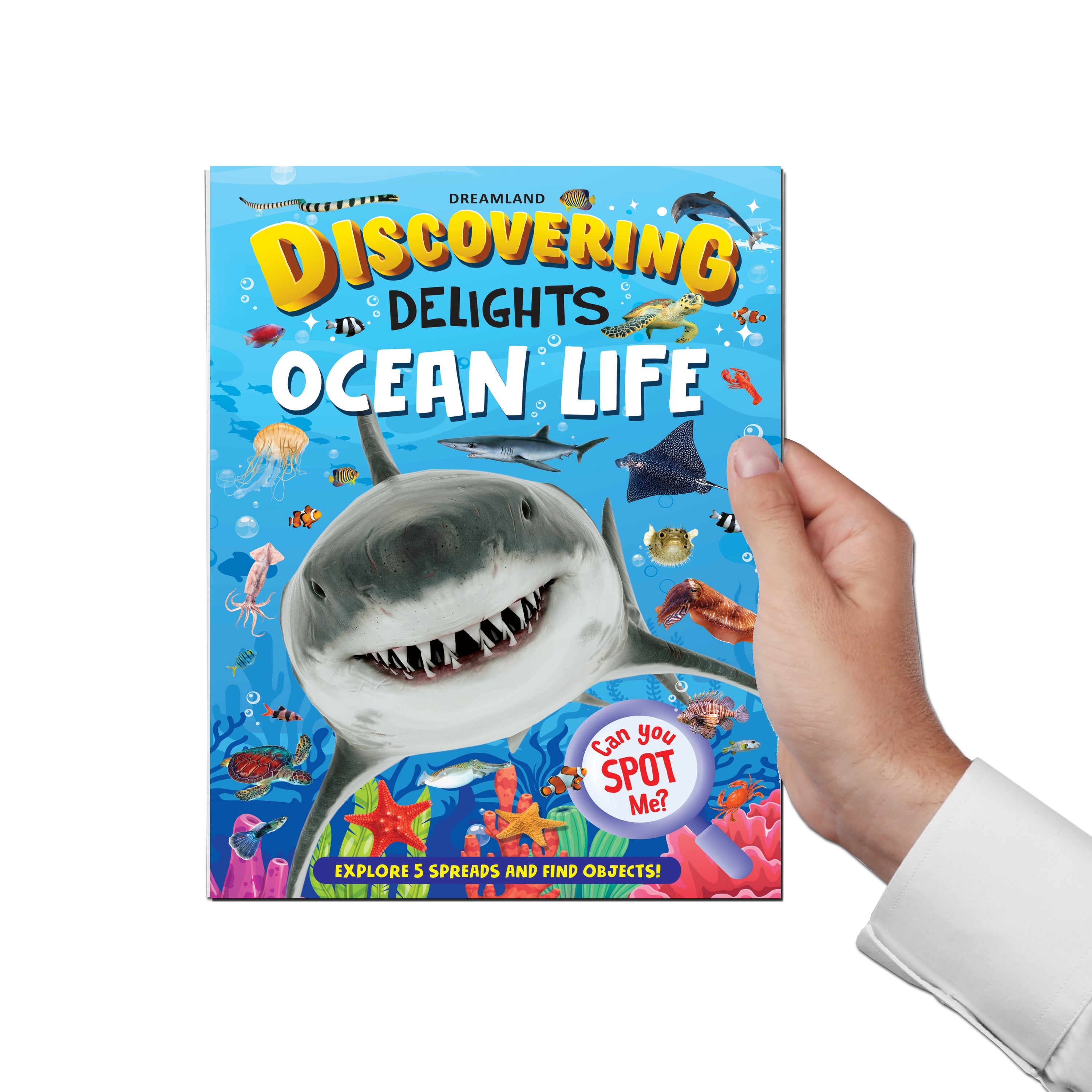 Dreamland Publications Ocean Life Discovering Delights Flap Book for Kids Age 4 - 10 years