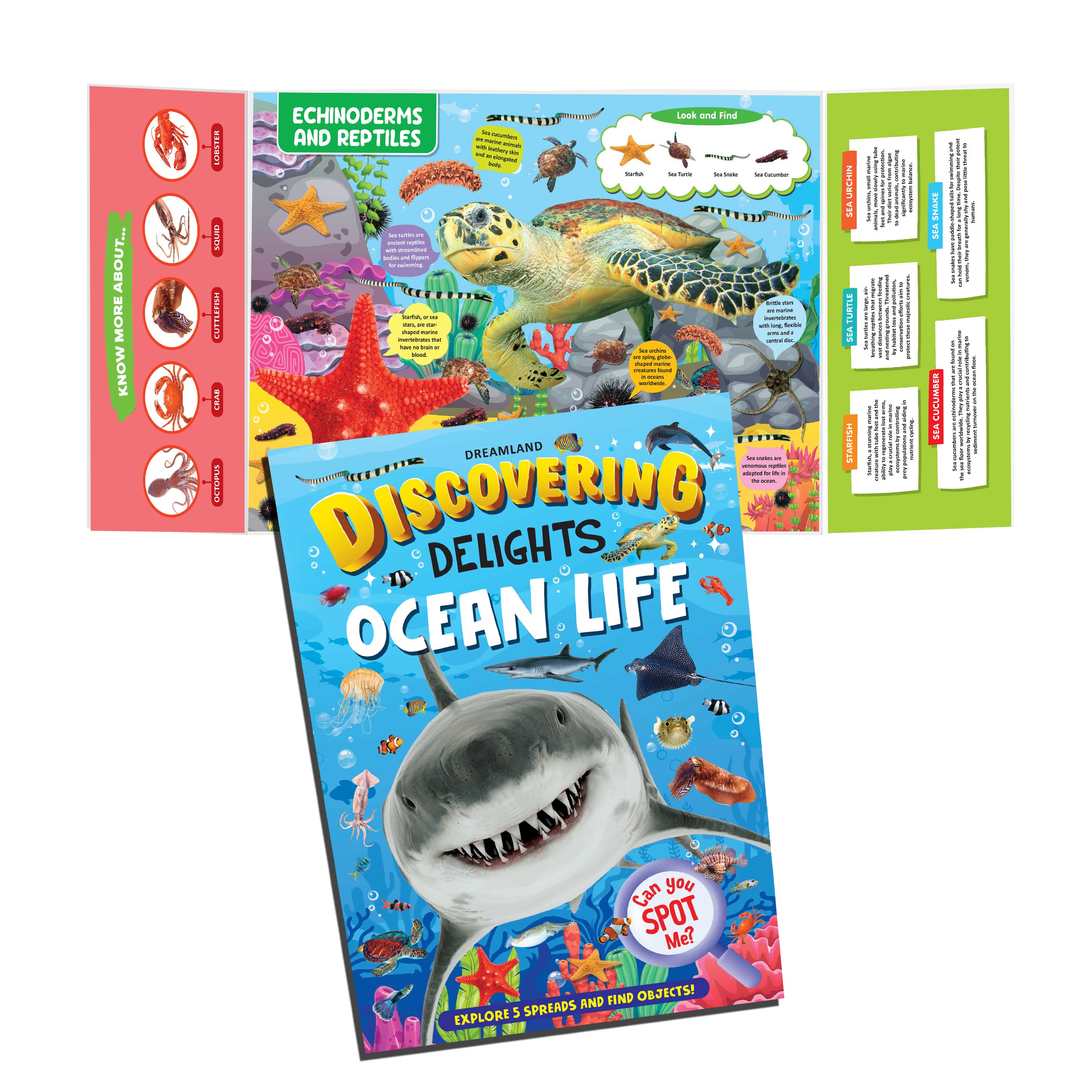 Dreamland Publications Ocean Life Discovering Delights Flap Book for Kids Age 4 - 10 years