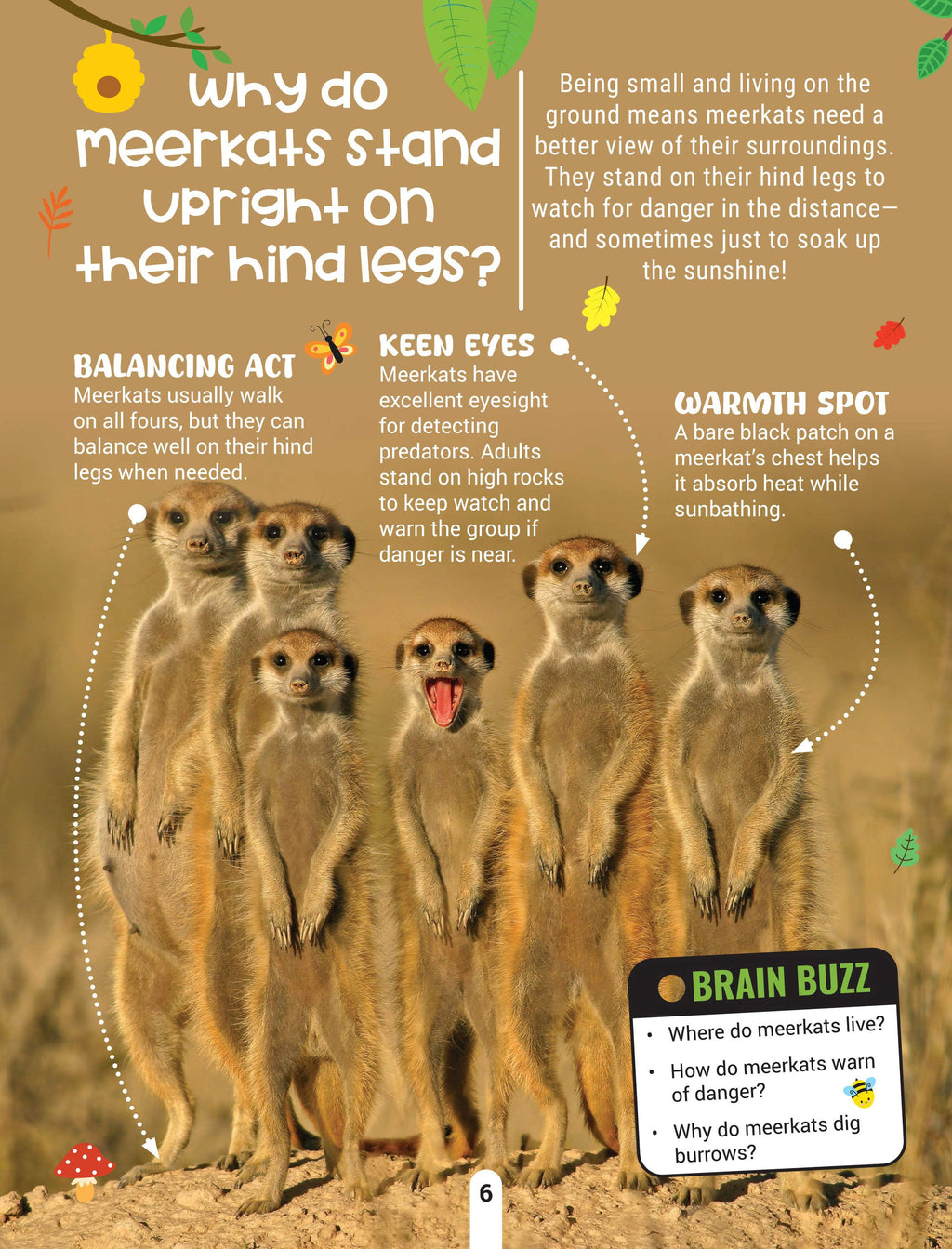 Dreamland Publications Factopedia Wild Wonders: A Fun Fact Book About Wildlife, Nature & Creatures for Kids Age 6+