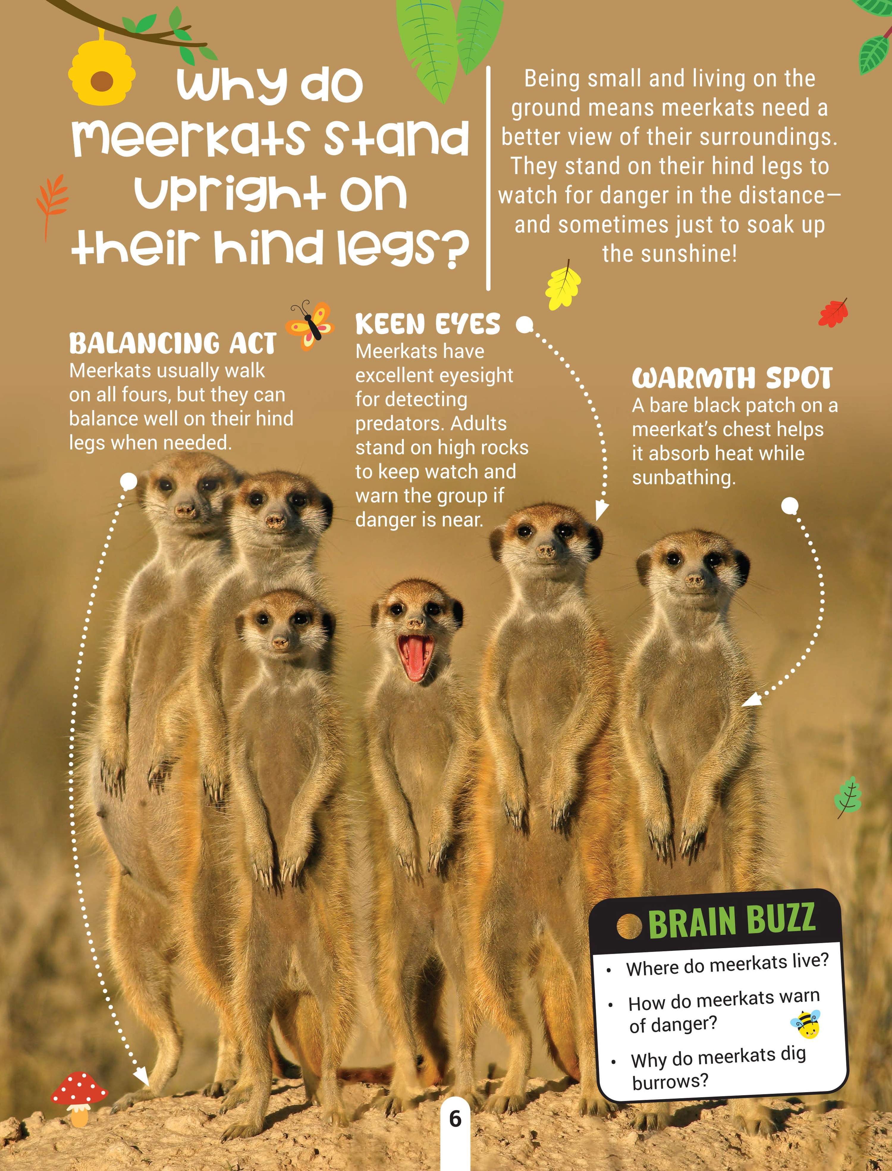 Dreamland Publications Factopedia Wild Wonders: A Fun Fact Book About Wildlife, Nature & Creatures for Kids Age 6+