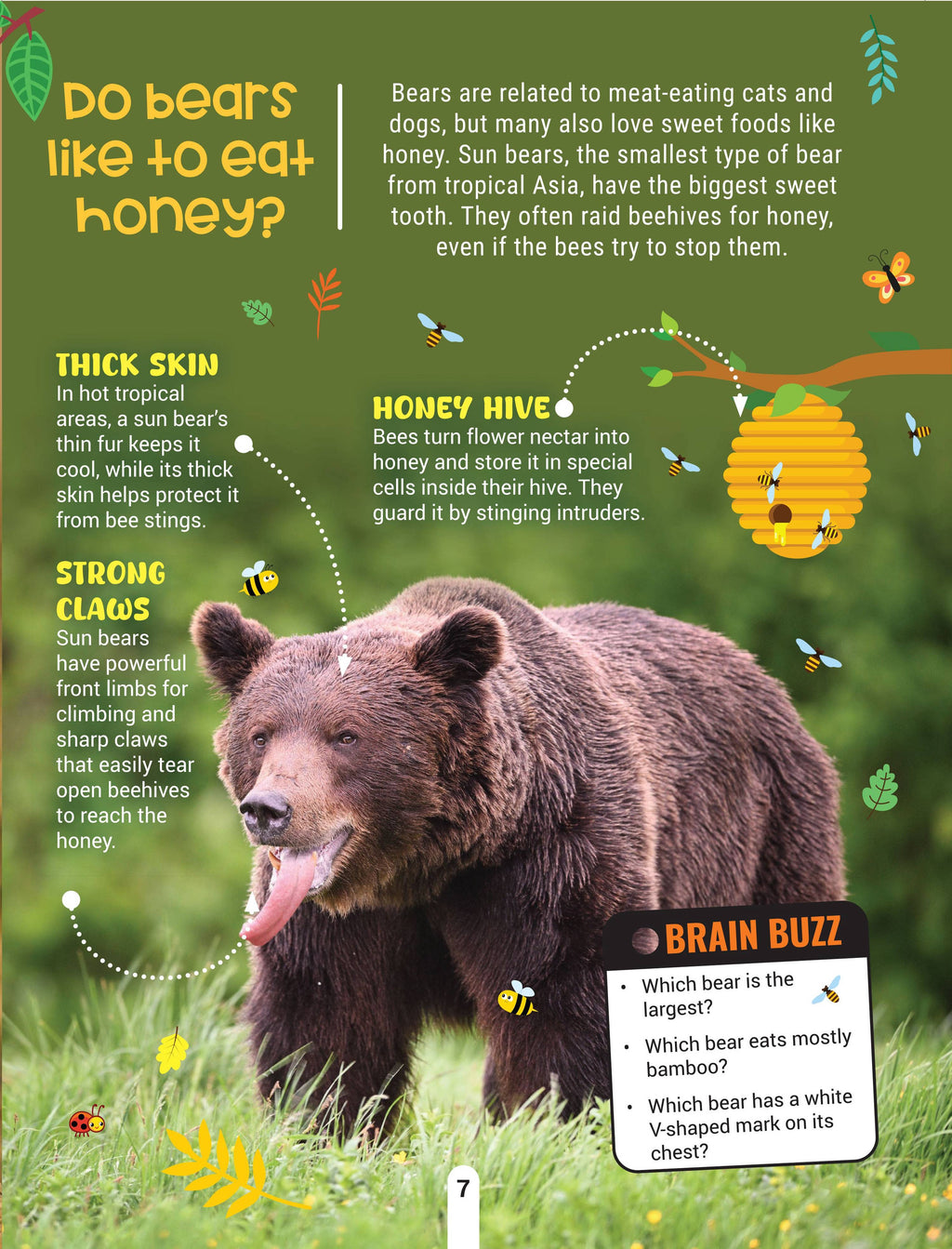 Dreamland Publications Factopedia Wild Wonders: A Fun Fact Book About Wildlife, Nature & Creatures for Kids Age 6+