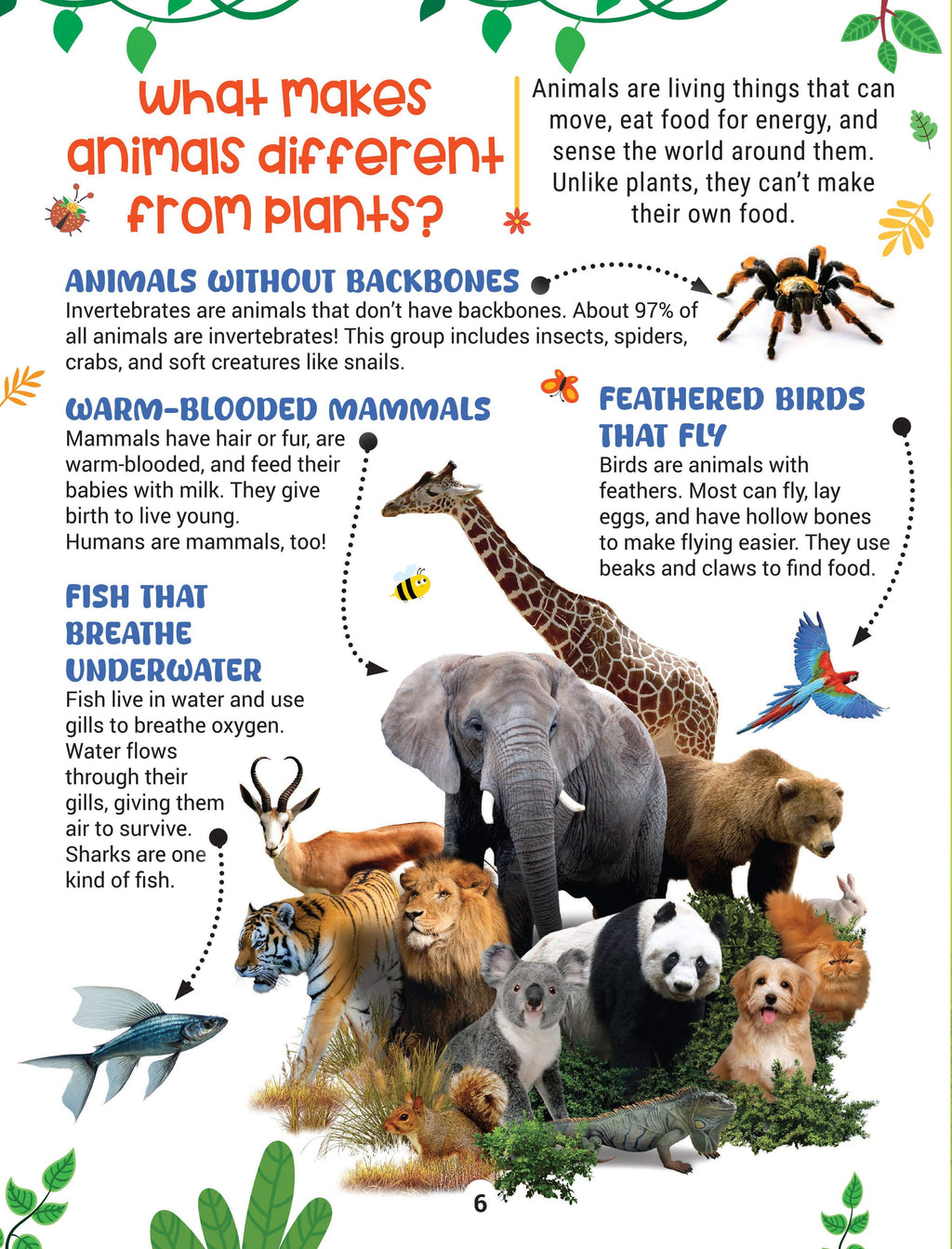 Dreamland Publications Factopedia Science Scoop: Incredible Science Facts for Kids Age 6+