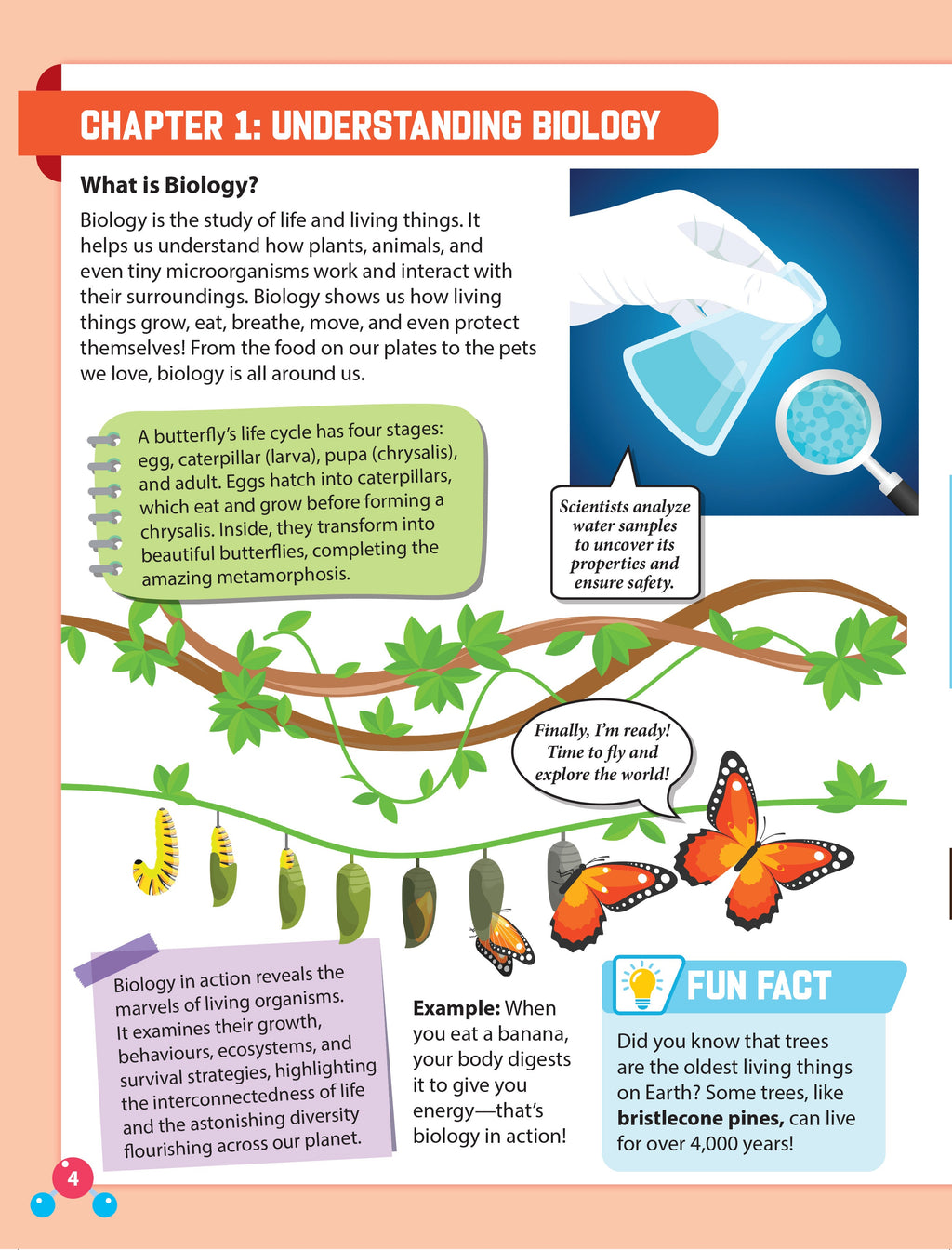 Dreamland Publications Everyday Wonders: Biology for Kids Age 6+ – Fun Facts and Exciting Activities About Living Things