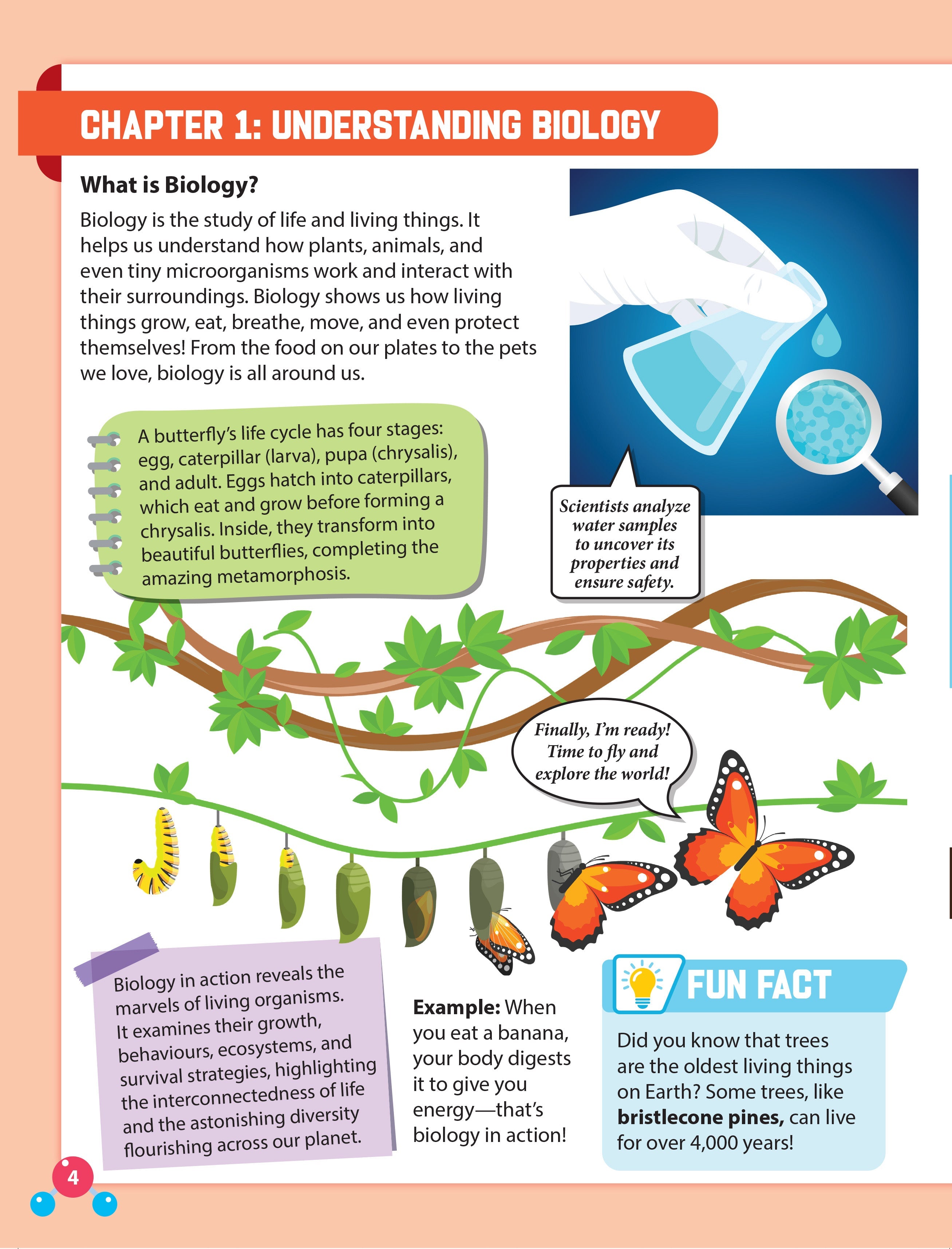 Dreamland Publications Everyday Wonders: Biology for Kids Age 6+ – Fun Facts and Exciting Activities About Living Things