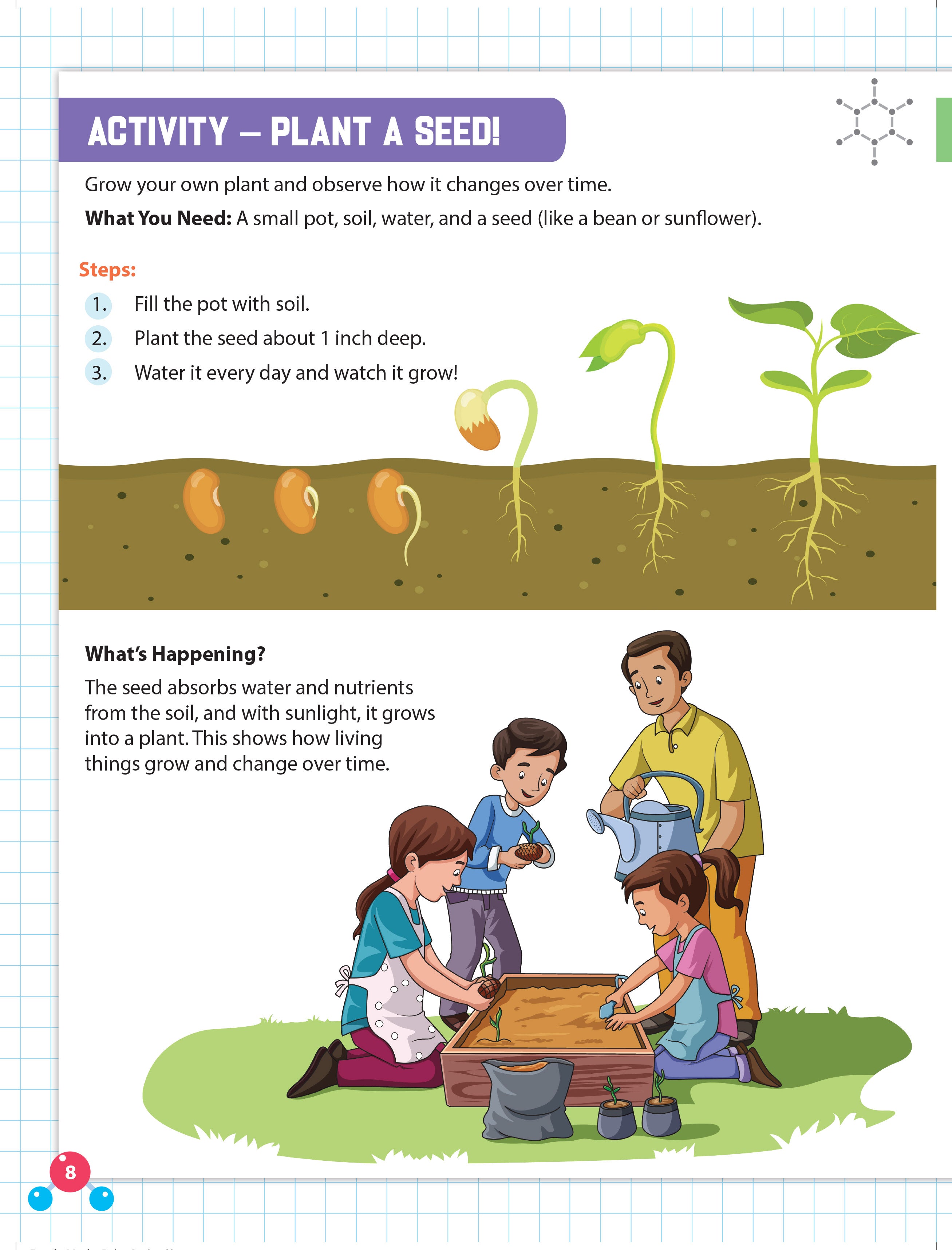 Dreamland Publications Everyday Wonders: Biology for Kids Age 6+ – Fun Facts and Exciting Activities About Living Things