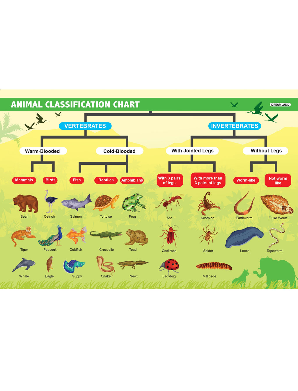 Dreamland Publications Everyday Wonders: Biology for Kids Age 6+ – Fun Facts and Exciting Activities About Living Things