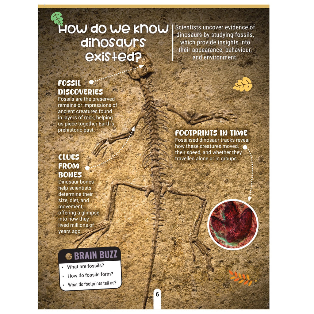 Dreamland Publications Factopedia: Dino Discovery – Fascinating Dinosaur Facts for Kids Age 6+ | Learn About Prehistoric Giants with Fun, Easy-to-Understand Info