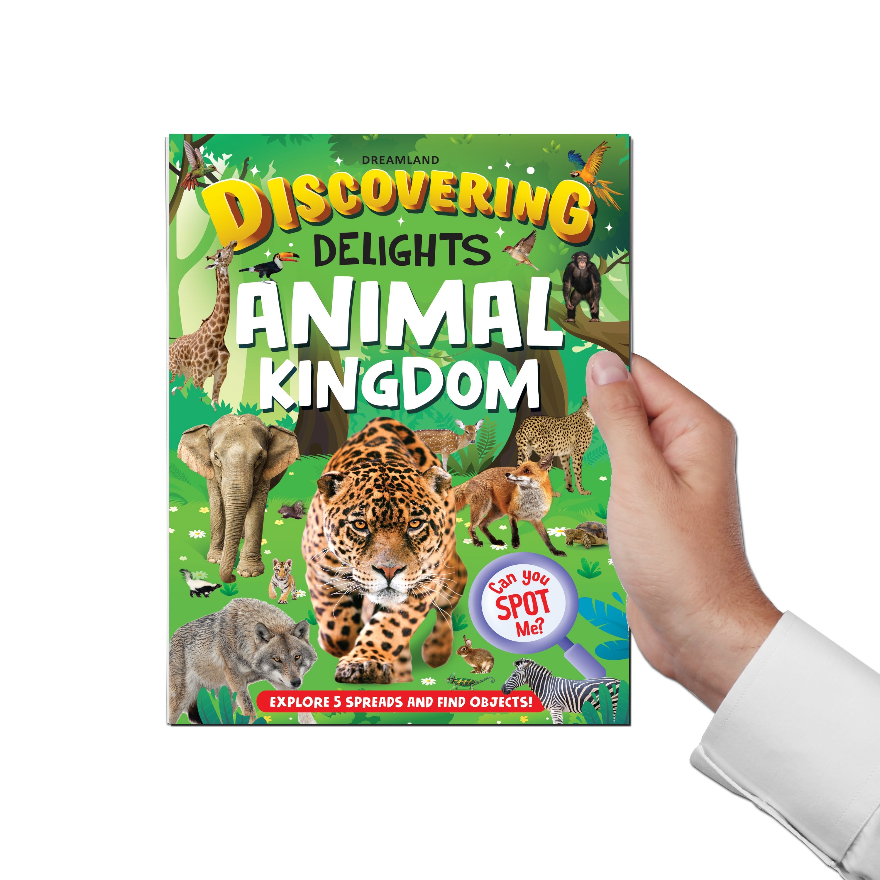 Dreamland Publications Animal Kingdom Discovering Delights Flap Book for Kids Age 4 - 10 years