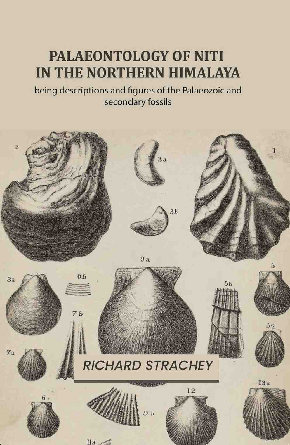 Palaeontology of Niti in the Northern Himalaya: being descriptions and figures of the Palaeozoic and secondary fossils - Gyan Books