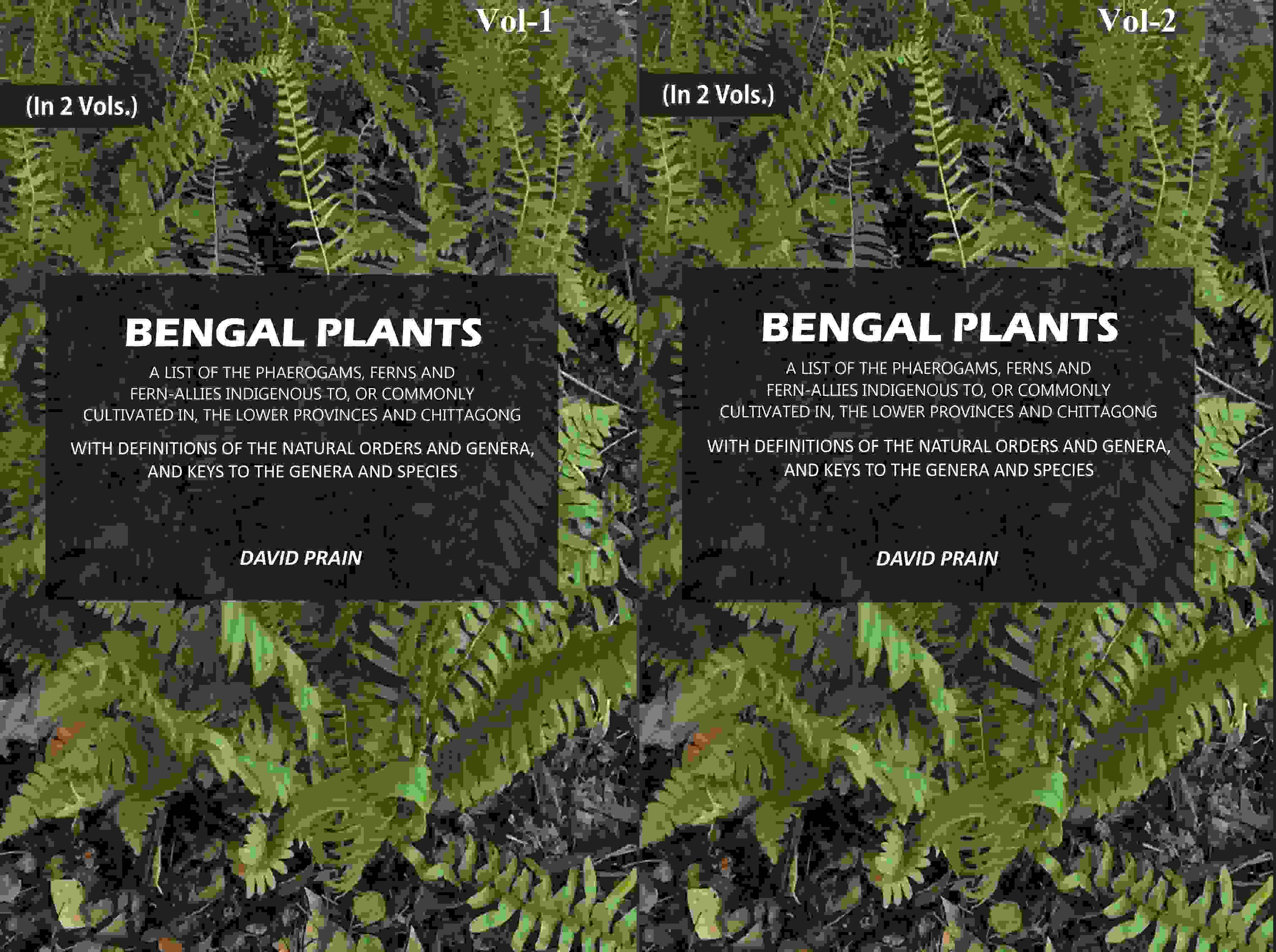 Bengal Plants: A List of the Phaerogams, Ferns and Fern-Allies Indigenous to, Or Commonly Cultivated in, The Lower Provinces and Chittagong with Definitions of the Natural orders and Genera, and Keys to the Genera and Species (2 Vols. Set) - Gyan Books