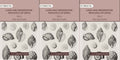 Land and fresh water Mollusca of India: Including South Arabia, Baluchistan, Afghanistan, Kashmir (3 Vols. Set (Text and Plates)) - Gyan Books