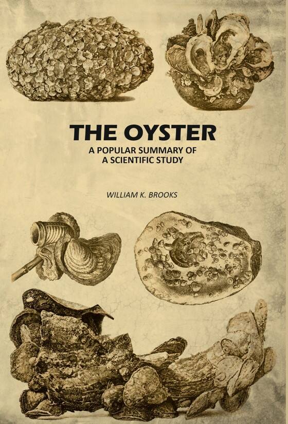 The Oyster: A Popular Summary of A Scientific Study - Gyan Books