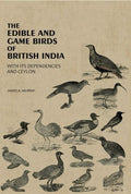 The Edible And Game Birds Of British India: With Its Dependencies And Ceylon - Gyan Books