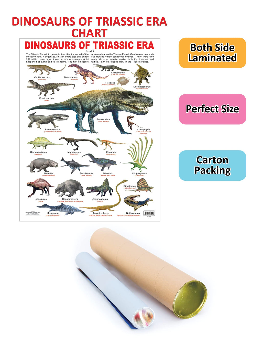 Dreamland Publications Educational Chart for Kids - Dinosaurs of Triassic Era