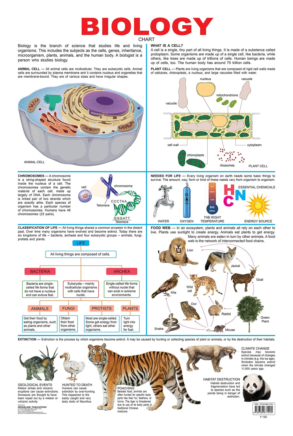 Dreamland Publications Biology : Children Reference Educational Laminated Chart