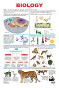 Dreamland Publications Biology : Children Reference Educational Laminated Chart