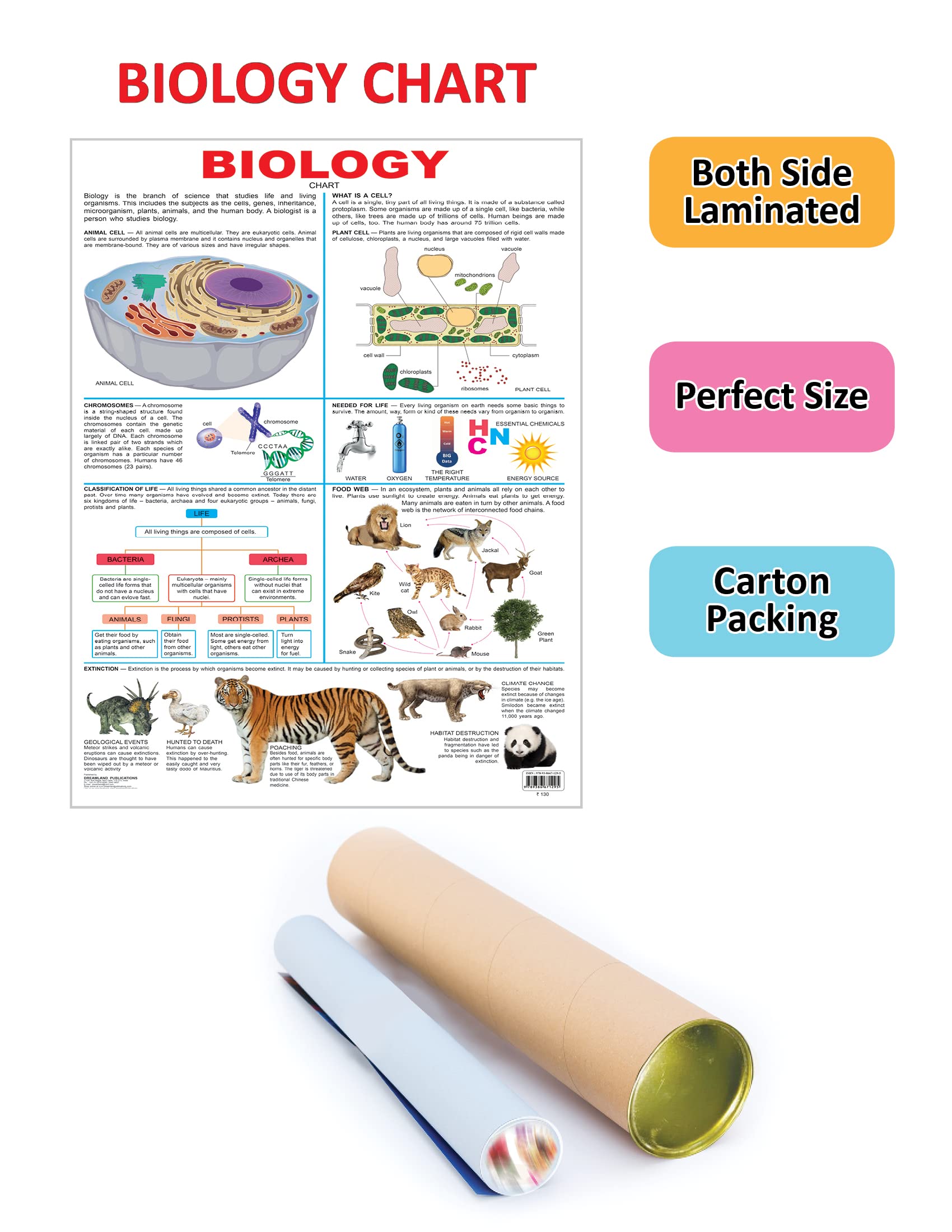 Dreamland Publications Biology : Children Reference Educational Laminated Chart