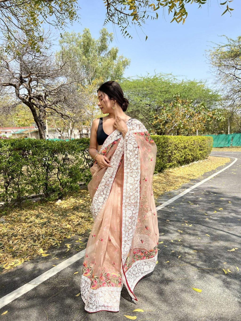 Vamsee Riddhi-Siddhi -1 Brown Organza Saree