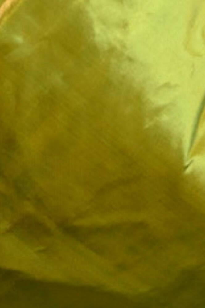Very Much Indian Premium Handloom Pure Silk Muniya Borde-Parrot Green,Silver Zari And Intricate Big Radha Krishna Pallu