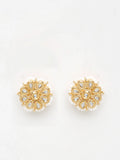 Kundan Studs - Ruby Raang