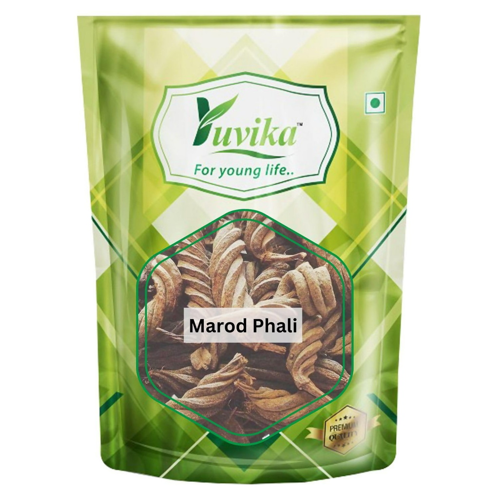 Yuvika Marod Phali - Marori - Helicteres Isora - Avaitini Screw Beans