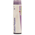 Boiron Homeopathy Ledium Palustre