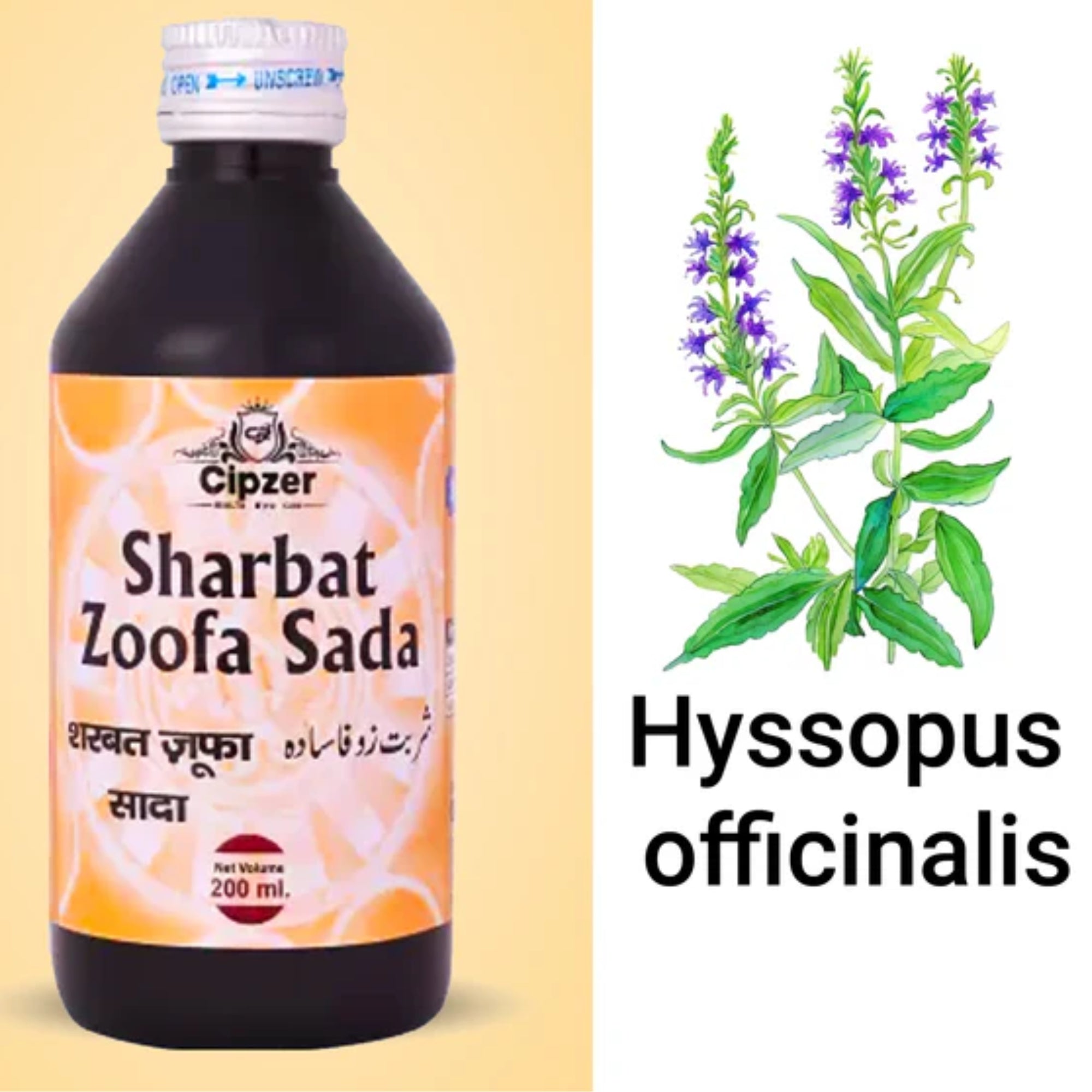 Cipzer Sharbat Zoofa Sada