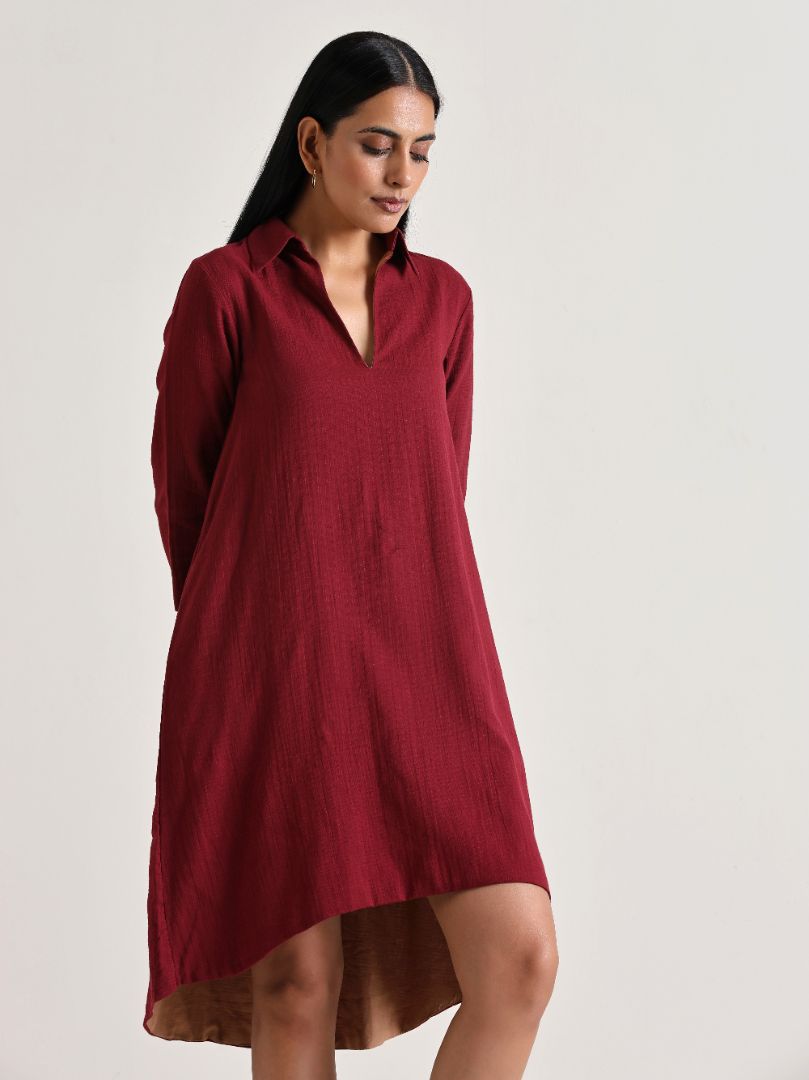 trueBrowns Maroon Short Collared Dress
