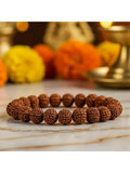 NVR 5 Mukhi Rudraksha Men & Women Bracelet