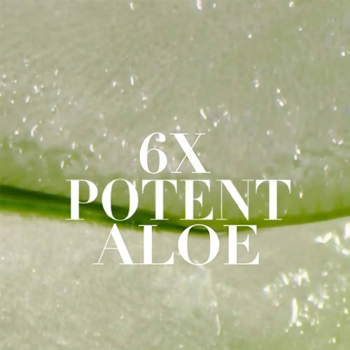 Herbal Essences Real Aloe And Eucalyptus Shampoo