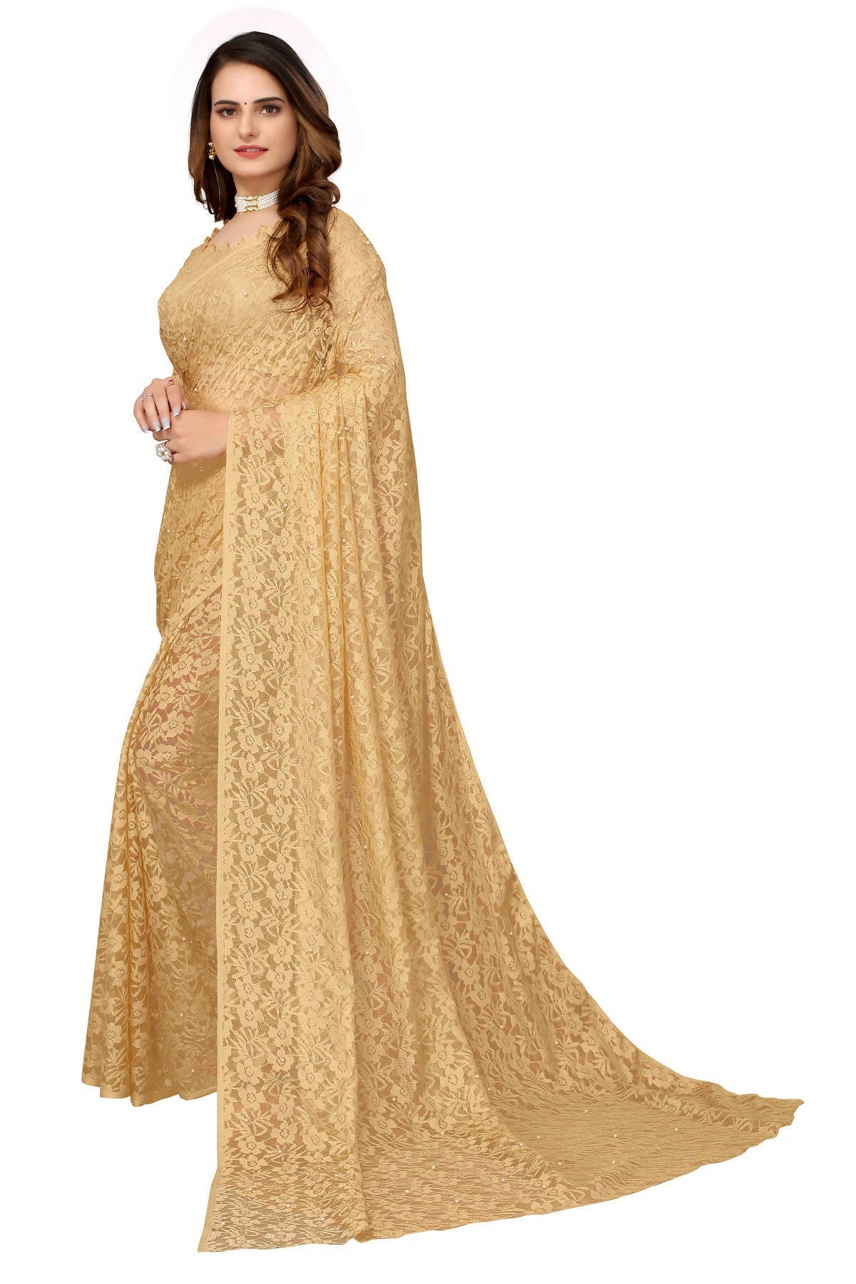 Vamika Brown Pearls Net Saree