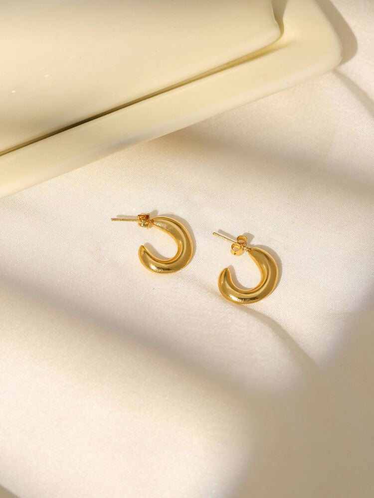 Golden Studs - Ruby Raang