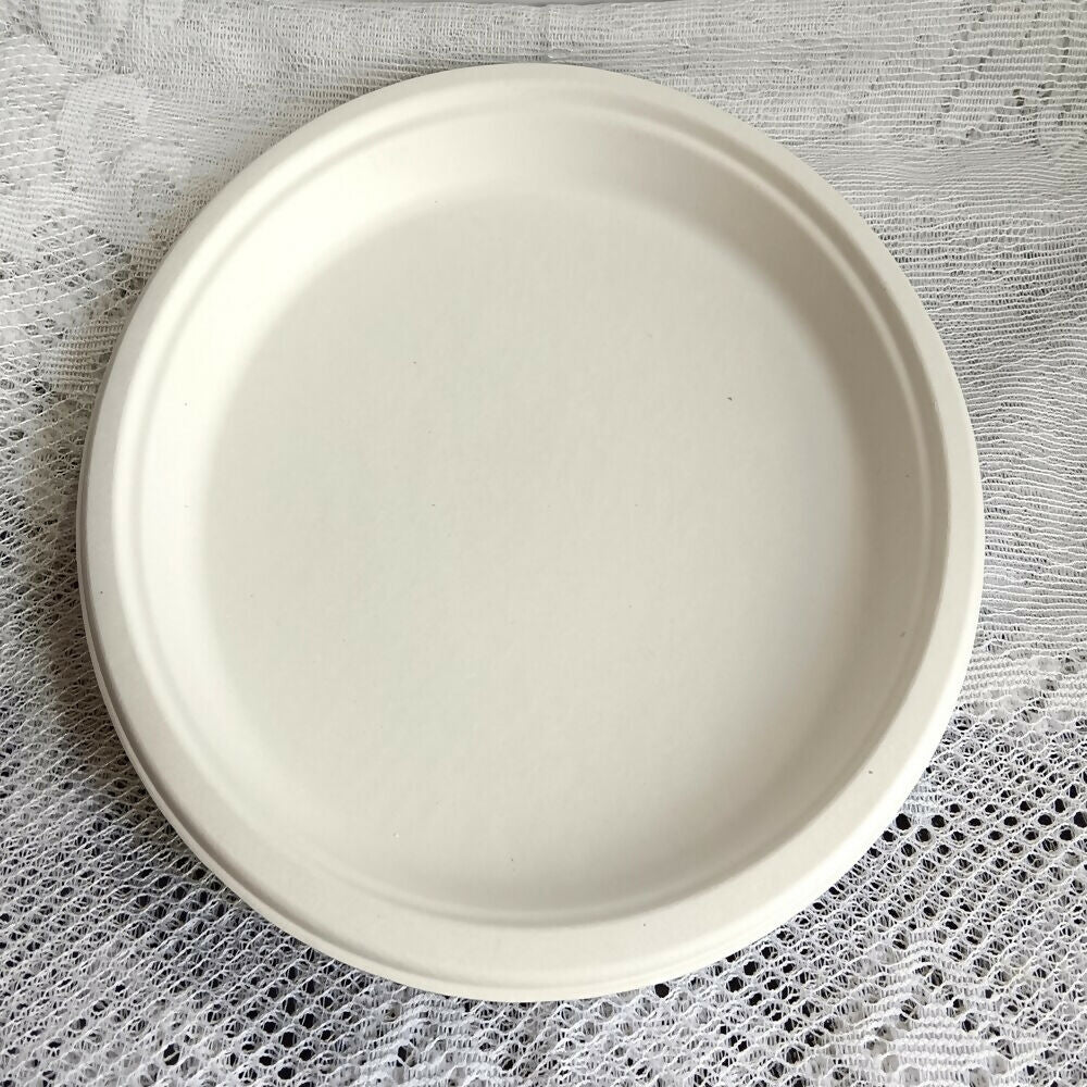 Disposable Round Plane Plates Big