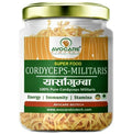 Avocare Biotech Cordyceps Militaris