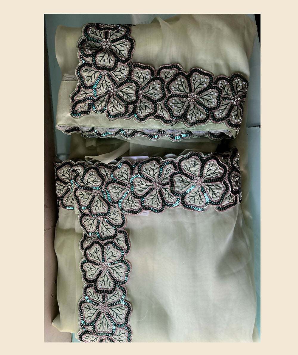 Light Green Net Organza Georgette Thread, Sequence, Cord Embroidered with Moti Work Saree - Mohmanthan Dakshika