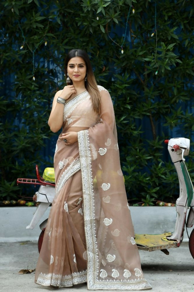Vamsee Cotton Kerry Grey Organza Saree