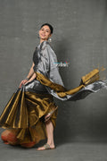 Very Much Indian Tyohaar - Fusion Cotton Tissue Shimmer Saree - Silver and Gold