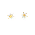 J Pearls Adore Pearl Earrings - Real Pearl Jewelry