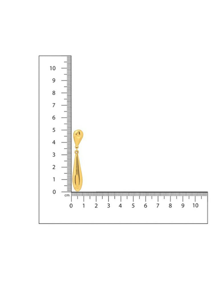 Golden Drop Earrings - Ruby Raang