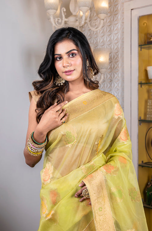 Morchari Organza Heavy Zari Saree - Green