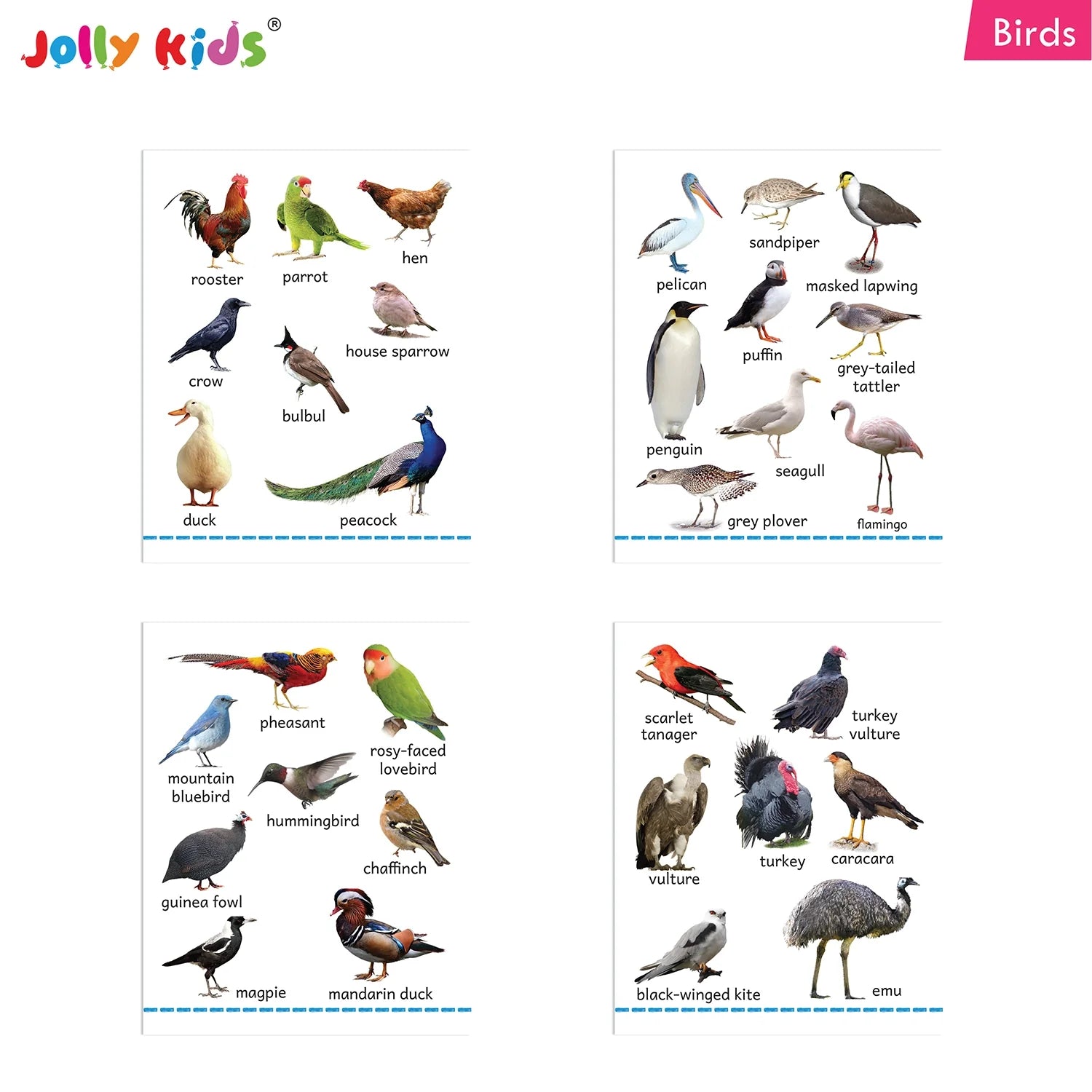 Jolly Kids My Big Board Books Set of 8 for Toddlers Ages 0-3 Years| Picture Learning Books