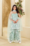 Teeya Creation Pista Colour Butterfly Net Embroidery Work Fully Stitched Pakistani Suit