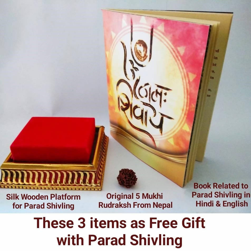 ‎G.S Rana Parad Shivling (50 Gram) Parad Shivling (29 mm)