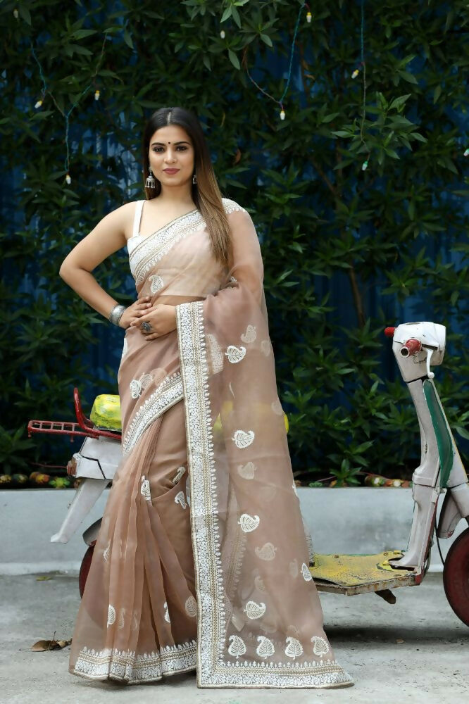 Vamsee Cotton Kerry Grey Organza Saree