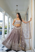 Eilara Glamorous Light Dusty Brown Butterfly Net With Thread And Sequins Embroidered Work Lehenga Choli