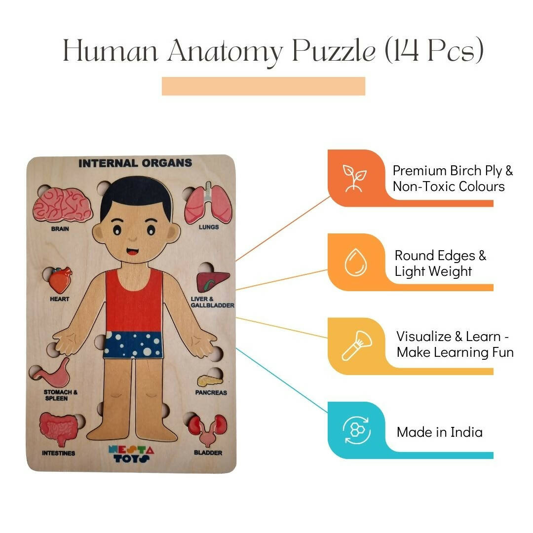 Nesta Toys Human Body | Internal Organs Wooden Puzzle